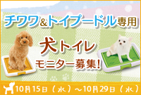 チワワ トイプ 小型 犬 トイレ 専用