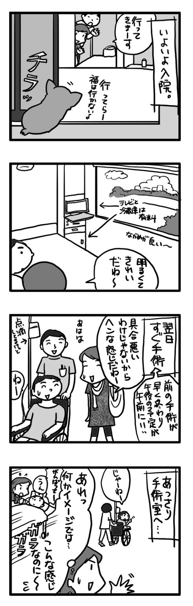 退院 入院 手術 カテーテル まんが マンガ