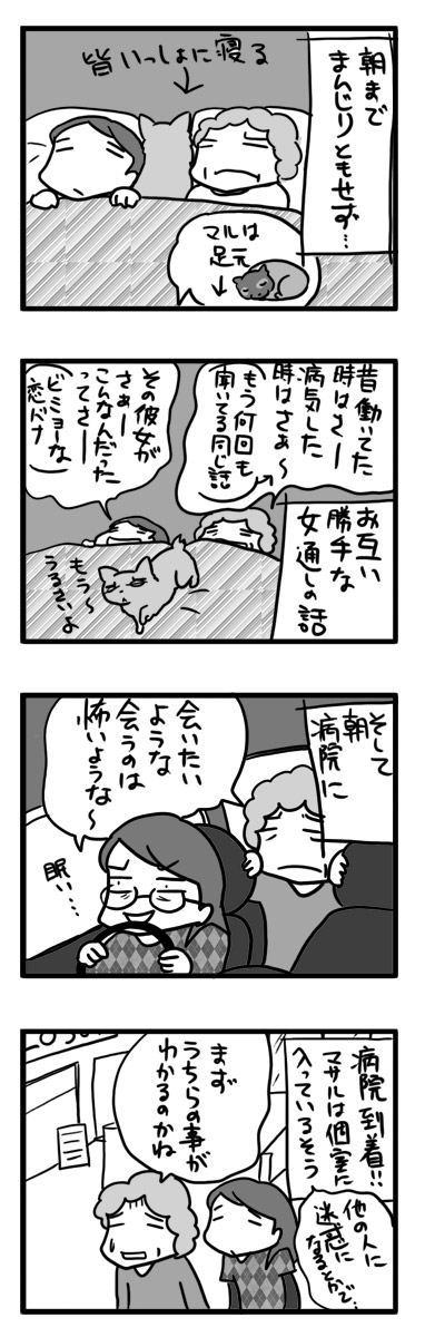 マサル 手術 脳梗塞 血管 頚部内頸動脈 まんが 漫画 マンガ