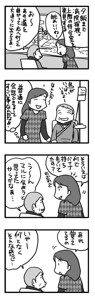 マサル せん妄 せんもう 入院 認知症 老人 犬 まんが マンガ 漫画