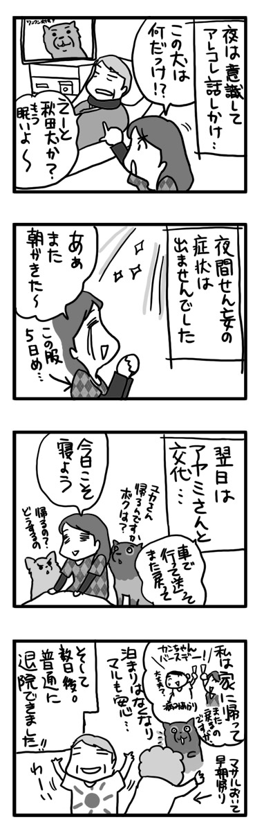 マサル せん妄 せんもう 入院 認知症 老人 犬 まんが マンガ 漫画