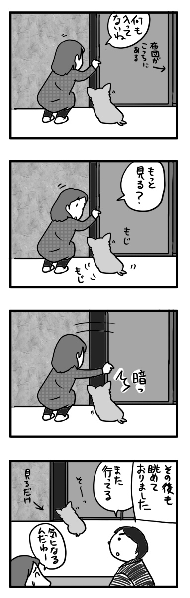箱根 はこね 犬 犬連れ ペット 旅行 ロマンスカー