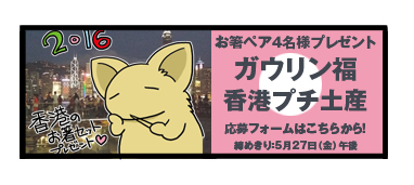 プレゼント 香港 箸 ペア お土産 2016