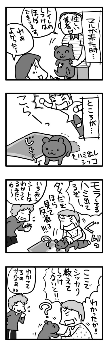 トイレ しつけ 失敗 怒 怖 犬 まんが マンガ 漫画