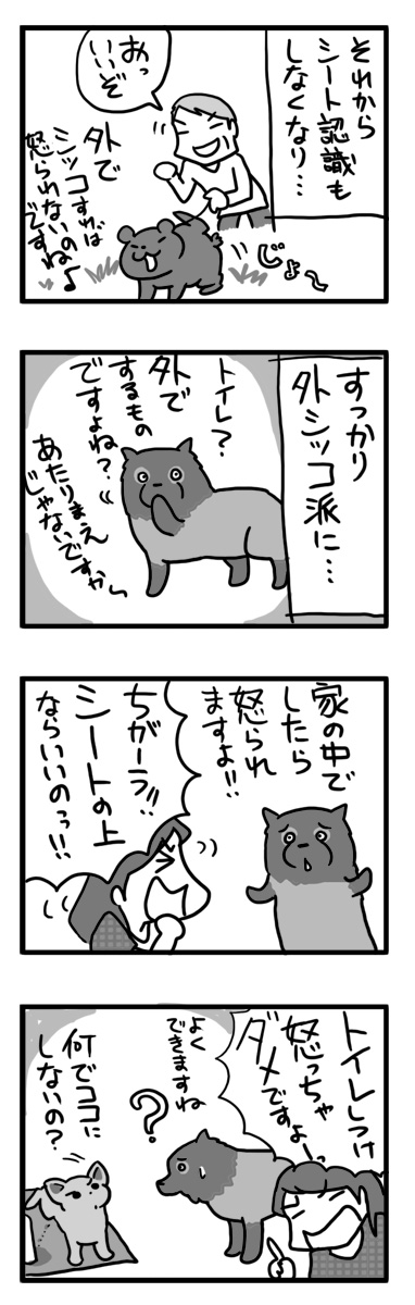 トイレ しつけ 失敗 怒 怖 犬 まんが マンガ 漫画