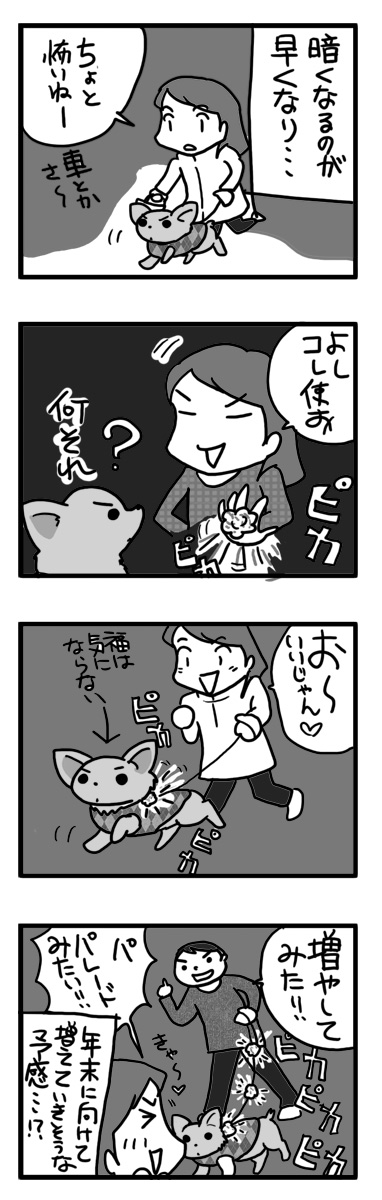 夜 散歩 ピカピカ 夜道 まんが 漫画 マンガ 犬 チワワ
