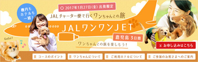 わんわん ワンワン ジェット JET 飛行機 犬