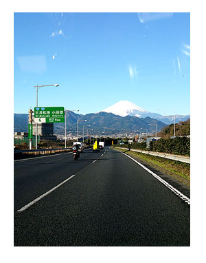 ドッグラン 福 チワワ ガウリン 貸切 他ワンコ 吠える チワワ 犬