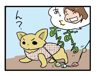 ずるずる フラッシュ 光る 散歩 犬 まんが マンガ
