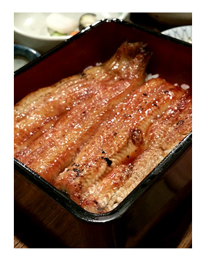 うなちゃん 国立 鰻 老舗 食べ ホッピー 美味