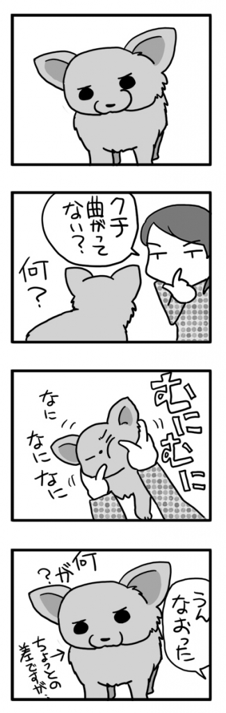 クチ 口 くち 曲がる 歯 歯茎 歯ぐき 犬 チワワ まんが 漫画 マンガ