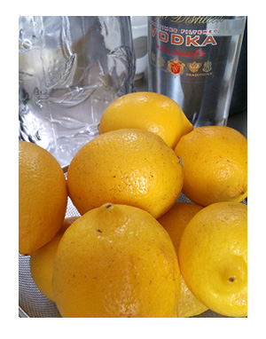 レモン 国産 無農薬 リモンチェッロ 家 酒