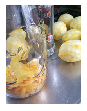 レモン 国産 無農薬 リモンチェッロ 家 酒