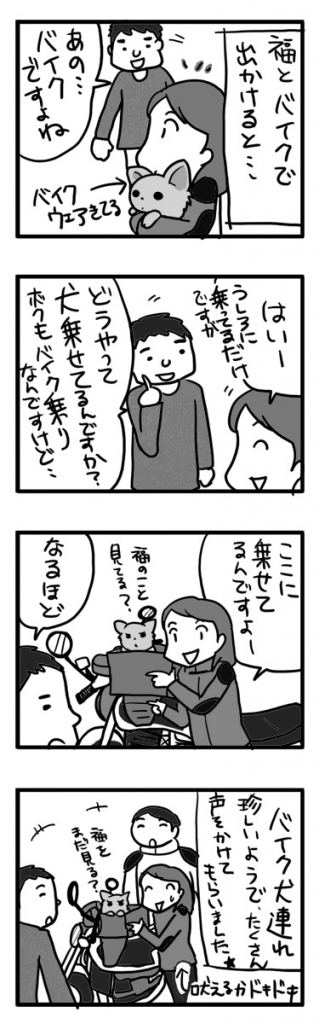 チワワ バイク 犬連れ ペット 乗せ bike タンデム