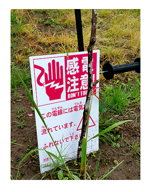 市原 いちはら アート ミックス フェス 小湊 2017