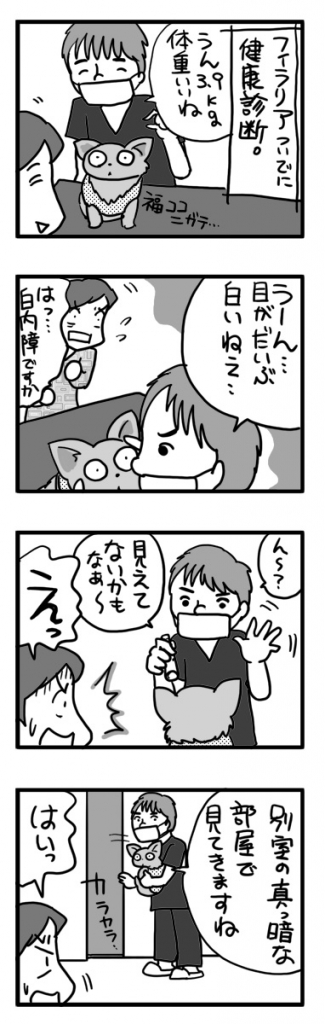 健康診断 動物病院 犬 チワワ 老犬 目 白内障 星状硝子体 核硬化症 漫画 マンガ まんが