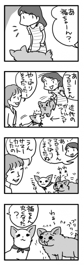 福 毛 カット マロン チワワ 友 ガウ 散歩 まんが 漫画 マンガ