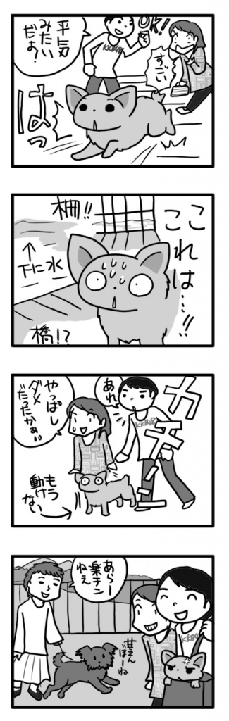 宮ヶ瀬ダム 吊り橋 犬 わんこ 船 関東 ダム 広場 まんが あ漫画 マンガ