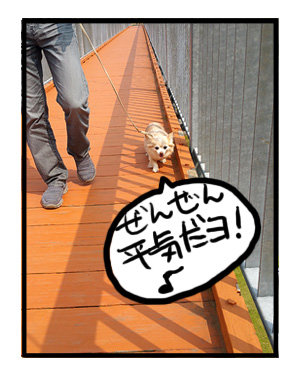 宮ヶ瀬ダム 吊り橋 犬 わんこ 船 関東 ダム 広場 まんが あ漫画 マンガ