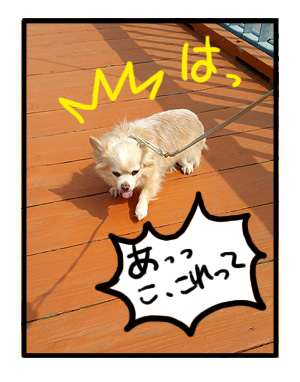 宮ヶ瀬ダム 吊り橋 犬 わんこ 船 関東 ダム 広場 まんが あ漫画 マンガ