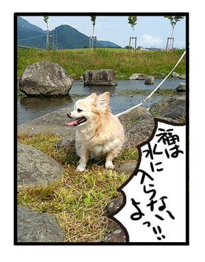 宮が瀬ダム みやがせ 多摩 中央線 都 近郊 近い ダム だむ 犬 チワワ