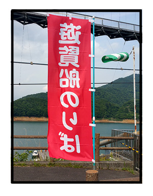 宮が瀬ダム みやがせ 多摩 中央線 都 近郊 近い ダム だむ 犬 チワワ