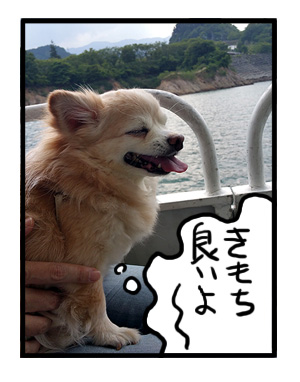 宮が瀬ダム みやがせ 多摩 中央線 都 近郊 近い ダム だむ 犬 チワワ