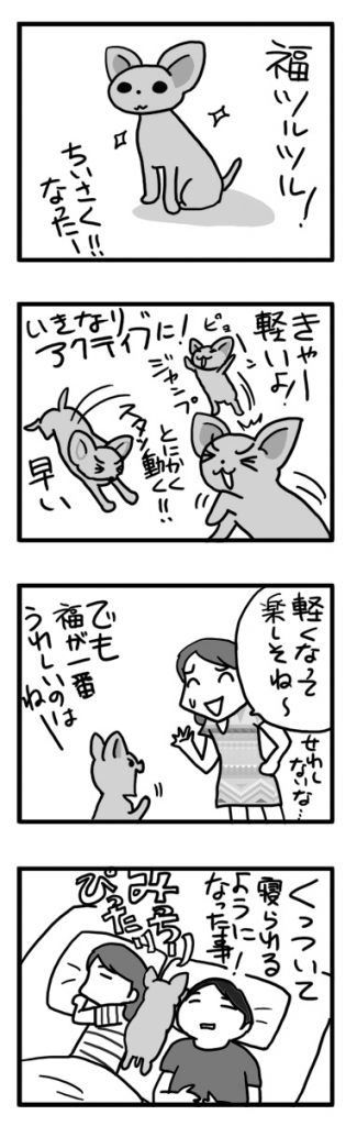 サマーカット 毛 毛刈 犬 チワワ くっつく 甘 まんが 漫画 マンガ