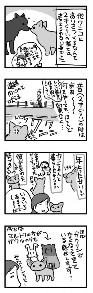 ガウリン 老 チワワ 犬 しつけ 保育園 治 なおる マンガ 漫画 まんが