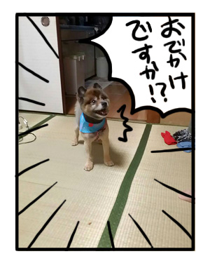 犬 旅 和歌山 車 旅行 心臓 病