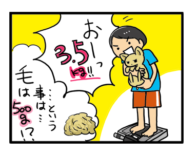 体重 犬 計り 量 性格 マンガ 漫画 イラスト