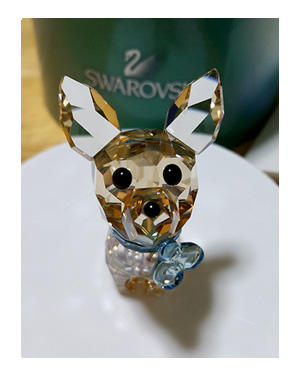 スワロ チワワ SWAROVSKI クリスタル 犬 Chihuahua