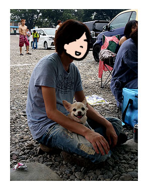 バーベ なじむ 吠え 犬 チワワ ガウ 福 まんが 漫画 マンガ
