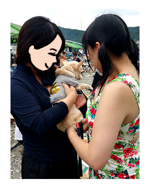 バーベ なじむ 吠え 犬 チワワ ガウ 福 まんが 漫画 マンガ
