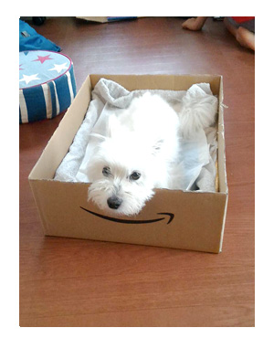 病気 トク 犬 連れ 旅行 犬 心臓 まんが 漫画 マンガ