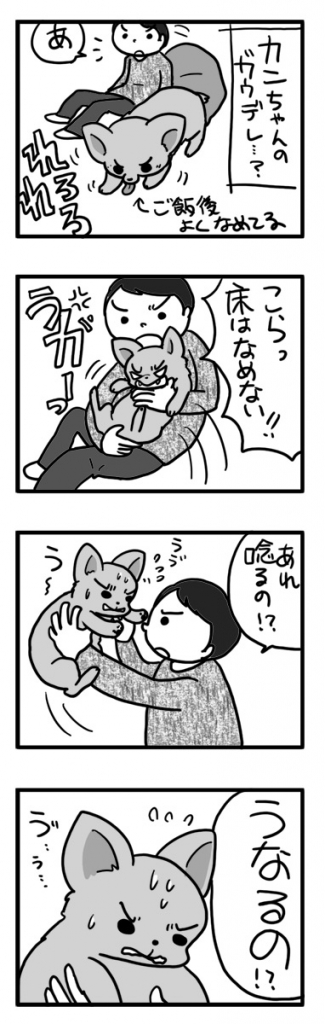 ガウ デレ チワワ 福 犬 ツンデレ 撫で なで 唸 うな まんが 漫画 マンガ
