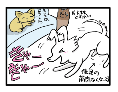 トク 元気 心臓 旅行 和歌山 近畿 犬 マンガ 漫画 まんが