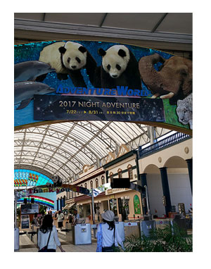 アドベンチャー ワールド ランド 和歌山 パンダ 動物 サファリ 老人