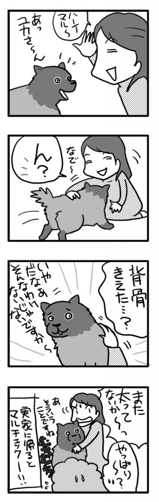 マル ポメ 老人 太 犬 わんこ 漫画 マンガ まんが イラスト