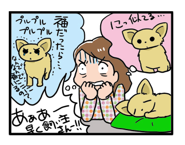 迷子 犬 チワワ 小平 花小金井 南 水路