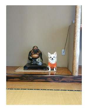 ガウリン チワワ 漫画 マンガ 吠え 犬 旅行 旅 犬連