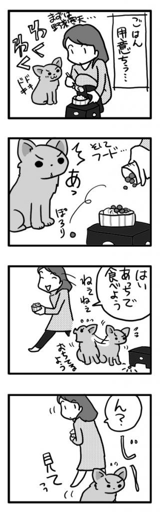 ごはん ゴハン ワンコ 犬 チワワ フード ぽろり ポロリ まんが 漫画 マンガ イラスト