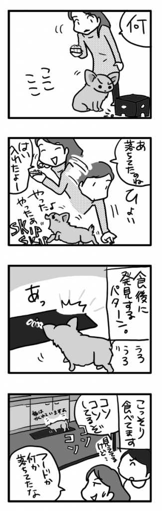 ごはん ゴハン ワンコ 犬 チワワ フード ぽろり ポロリ まんが 漫画 マンガ イラスト