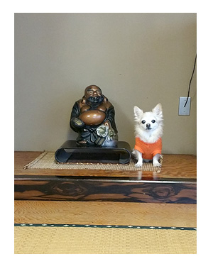 伊豆 温泉 世界遺産 韮山 反射炉 にらやま 犬 わんこ ペット