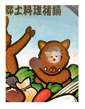 常連の滝 犬 わんこ 旅 じょうれん