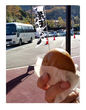 常連の滝 犬 わんこ 旅 じょうれん