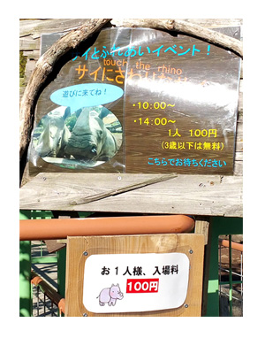 アニマル キングダム 動物園 犬 ペット 一緒 伊豆