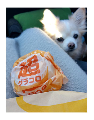 東北 旅行 ガウリン 犬 連れ 吠え ペット 可 宿 泊