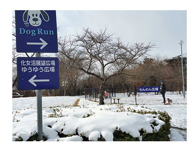 東北 旅行 犬 ワンコ 旅 ペット 雪 やきそば 漫画 マンガ