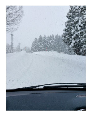 東北 旅行 犬 ペット 宿 雪 スキー まんが 漫画